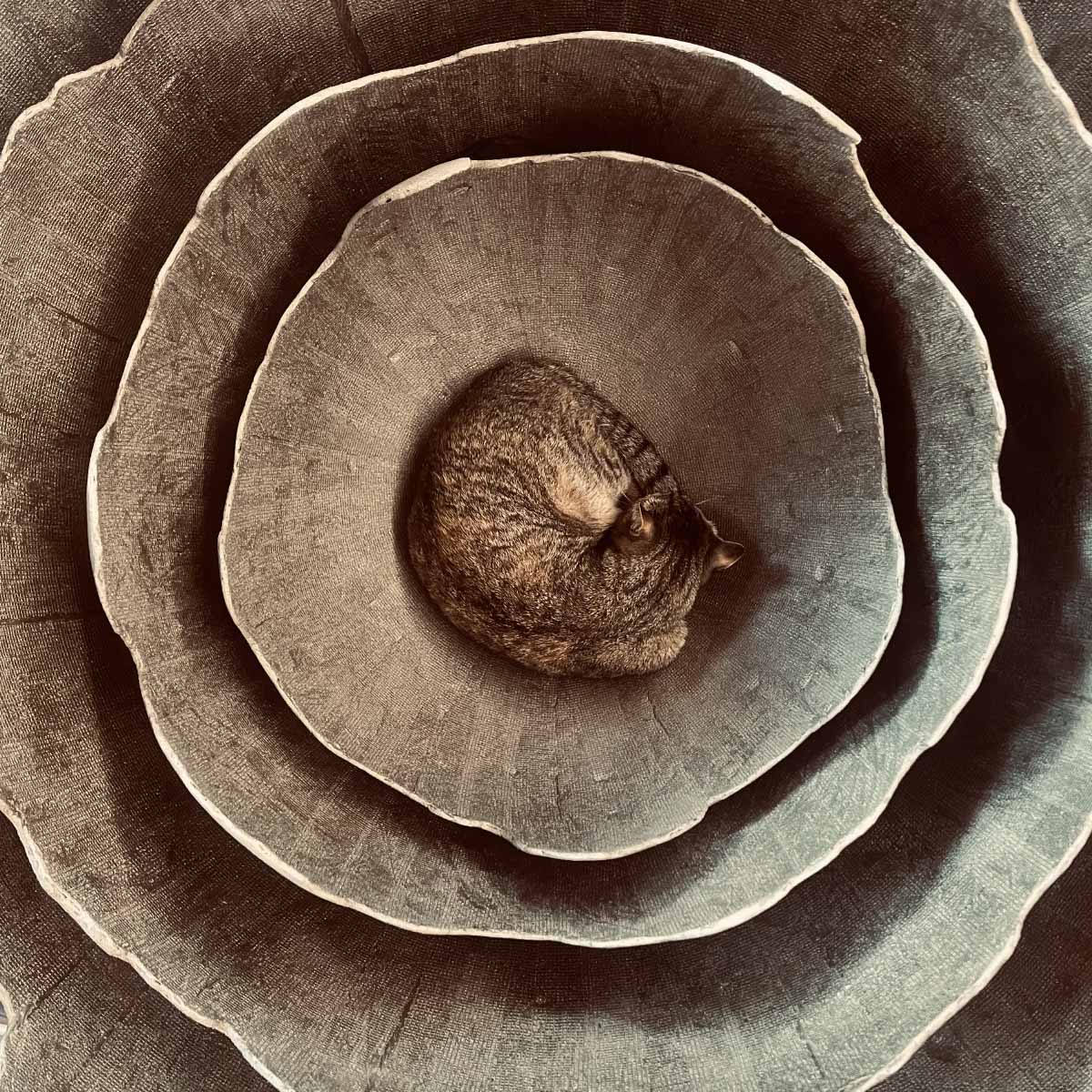 Lampada Lakota nera - Contrasto ed eleganza minerale